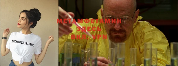 индика Кинешма