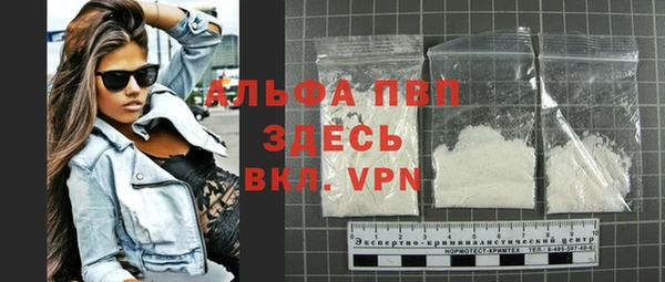 индика Кинешма