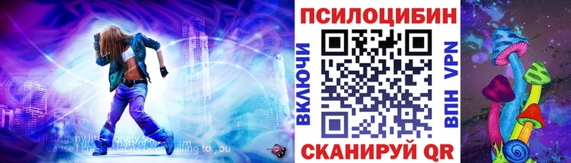 как найти закладки  Кировград  Псилоцибиновые грибы мицелий 